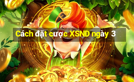 Cách đặt cược XSND ngày 3