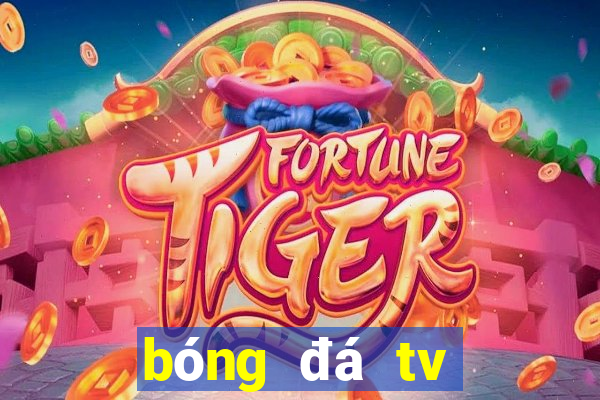 bóng đá tv trực tiếp