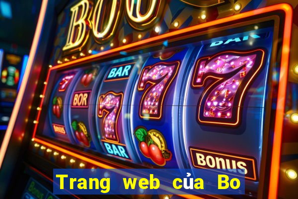 Trang web của Bo e 100