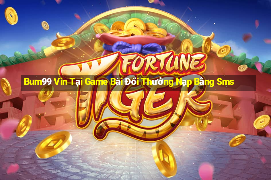 Bum99 Vin Tại Game Bài Đổi Thưởng Nạp Bằng Sms