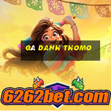 gà danh thomo