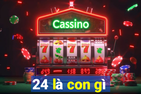 24 là con gì