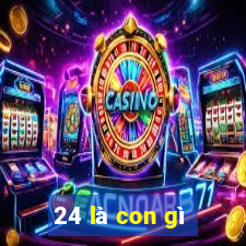 24 là con gì