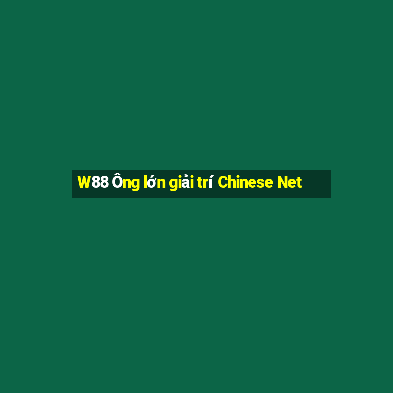 W88 Ông lớn giải trí Chinese Net