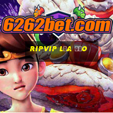 Ripvip Lừa Đảo