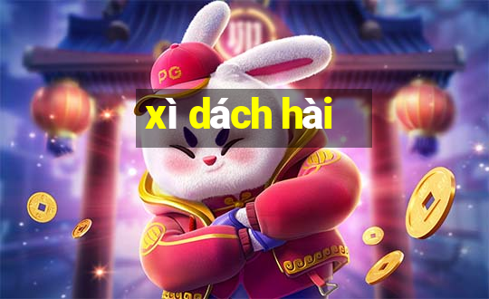 xì dách hài