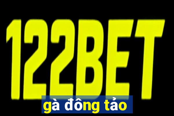 gà đông tảo