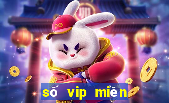 số vip miền bắc hôm nay