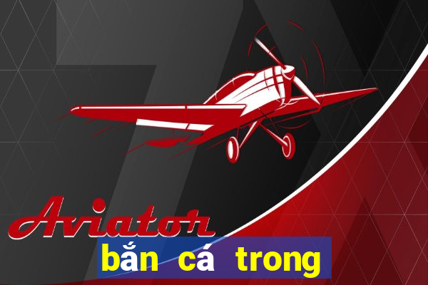 bắn cá trong siêu thị