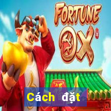 Cách đặt cược XSPY ngày 29