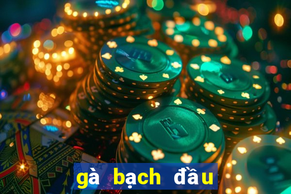 gà bạch đầu chỉ 2 chân