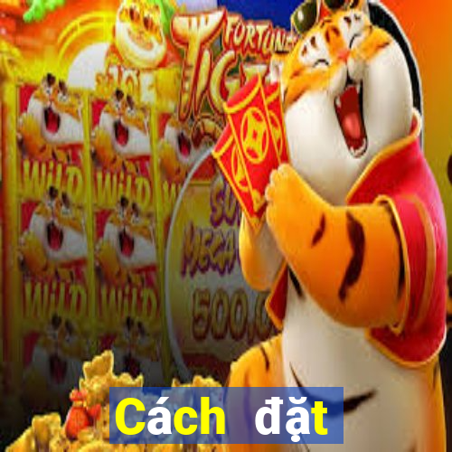 Cách đặt cược xổ số Ali