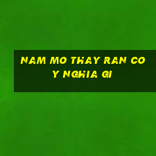 nam mo thay ran co y nghia gi