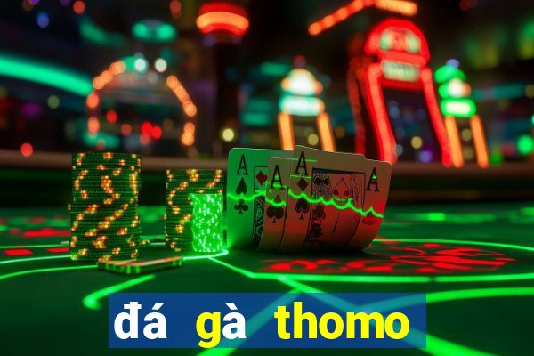 đá gà thomo trực tiếp sv388