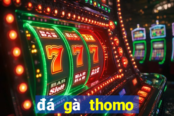 đá gà thomo trực tiếp sv388