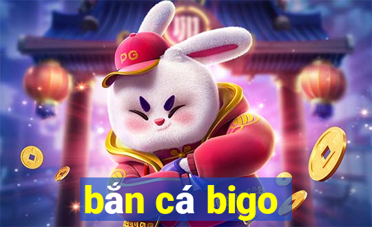 ban ca bigo