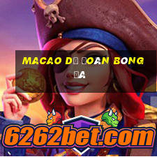 macao du doan bong da