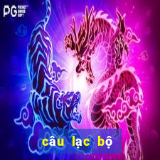 câu lạc bộ dành cho người độc thân