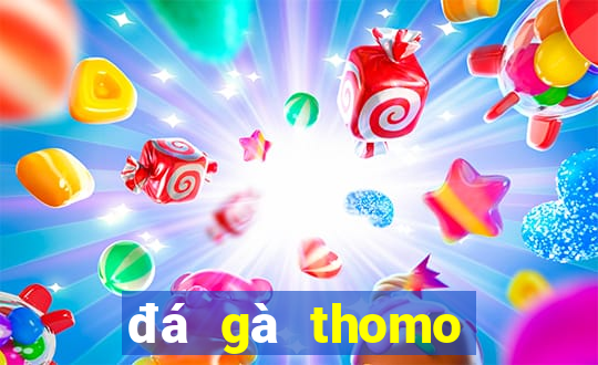 đá gà thomo trực tiếp 999