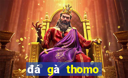 đá gà thomo trực tiếp 999