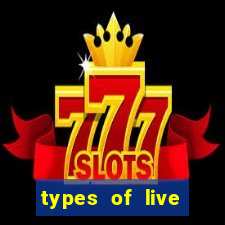 types of live casino studios