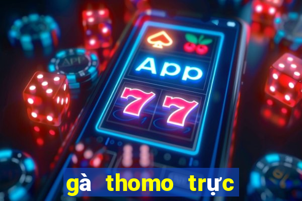 gà thomo trực tiếp hôm nay