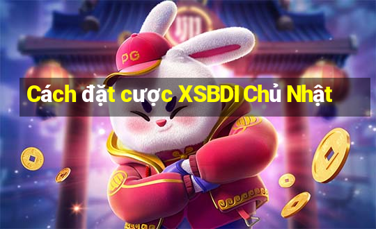 Cách đặt cược XSBDI Chủ Nhật