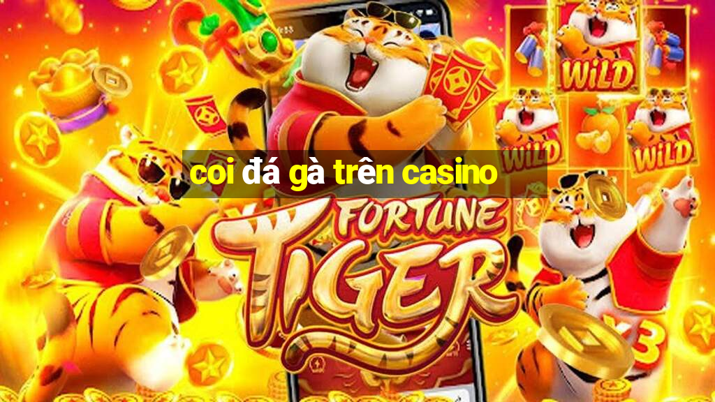 coi đá gà trên casino