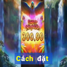 Cách đặt cược XSQT Thứ 3