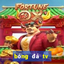 bóng đá tv trực tuyến