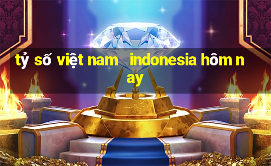 tỷ số việt nam   indonesia hôm nay