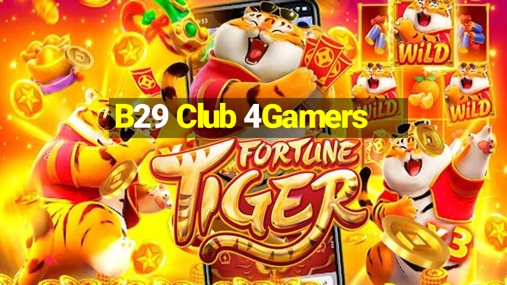 B29 Club 4Gamers