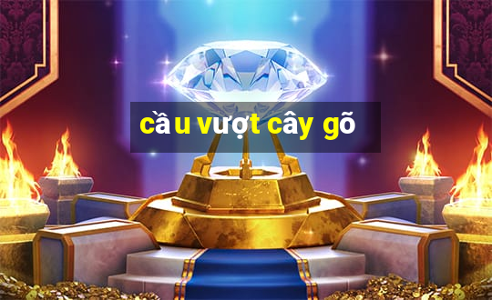 cầu vượt cây gõ