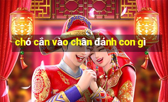 chó cắn vào chân đánh con gì