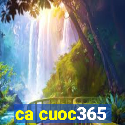 ca cuoc365