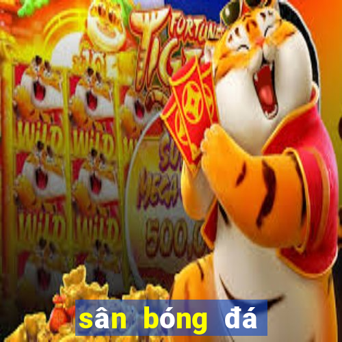 sân bóng đá đà nẵng