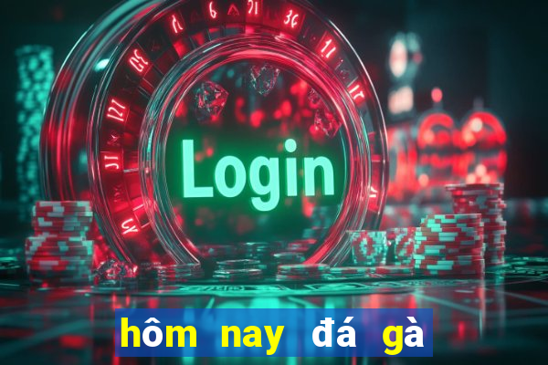 hôm nay đá gà màu gì