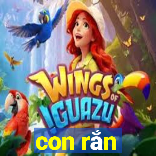 con rắn