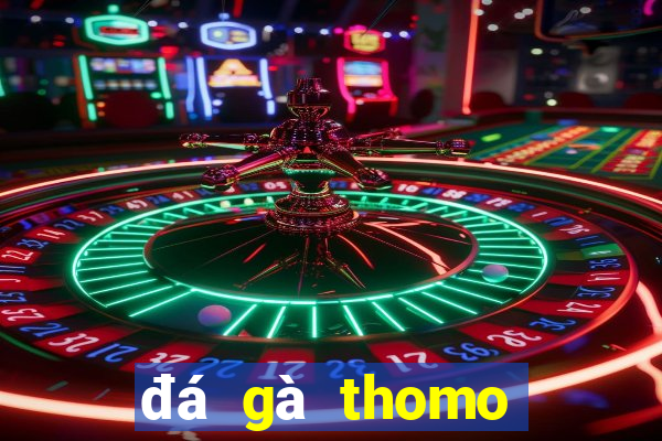 đá gà thomo xám thần