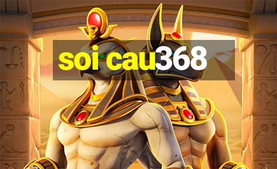 soi cau368