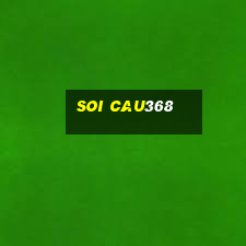 soi cau368