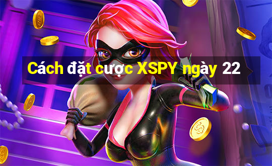 Cách đặt cược XSPY ngày 22