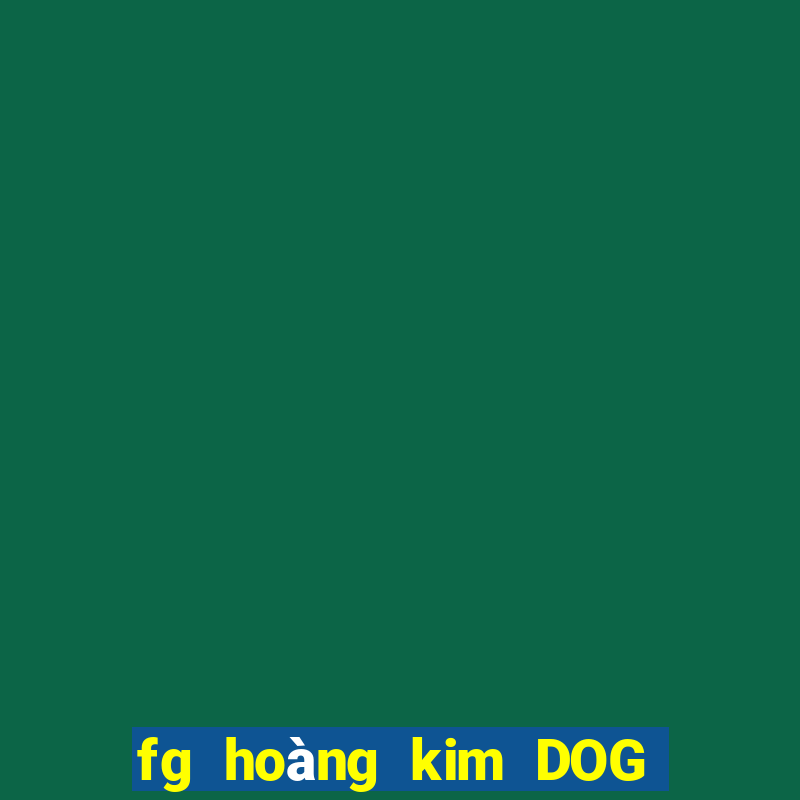 fg hoàng kim DOG Móng Cái