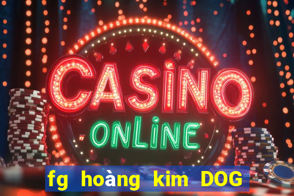 fg hoàng kim DOG Móng Cái