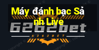 Máy đánh bạc Sảnh Live