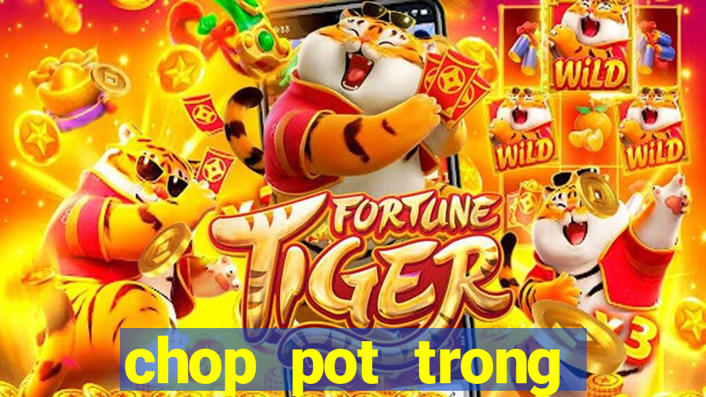 chop pot trong poker là gì