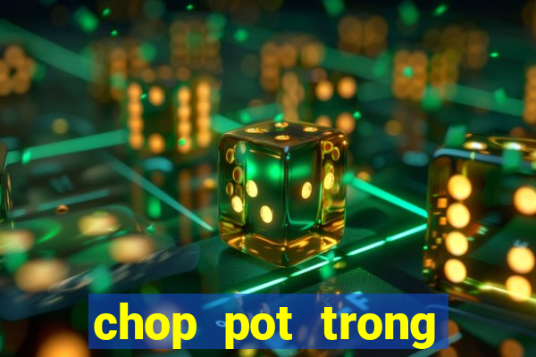 chop pot trong poker là gì