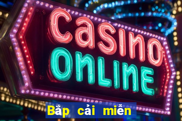 Bắp cải miễn phí Net