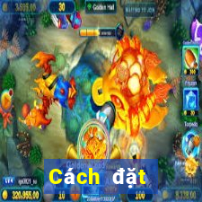 Cách đặt cược XSDTMB ngày 19