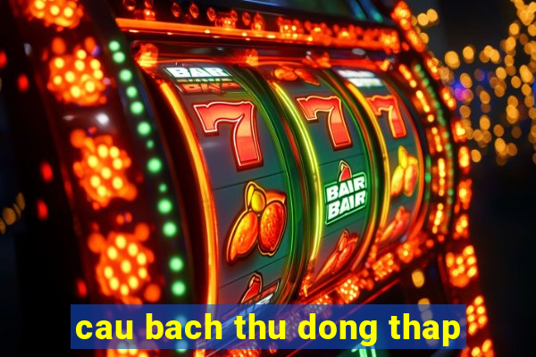 cau bach thu dong thap